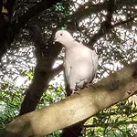 Appartement Dreams *