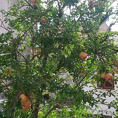 Dreams Appartement *